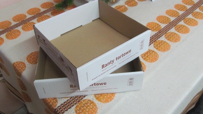 Wykrój składany wykonany z mikrofali jednostronnie białej