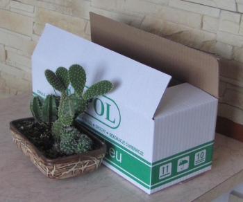 Karton, pudełko, opakowanie tekturowe klapowe z tektury trójwarstwowej jednostronnie białej