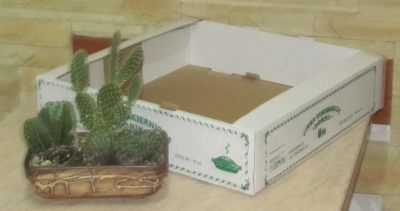 Wykrój składany wykonany z tektury trójwarstwowej jednostronnie białej