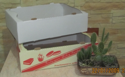 Karton składany z tektury trójwarstwowej, jednostronnie białej